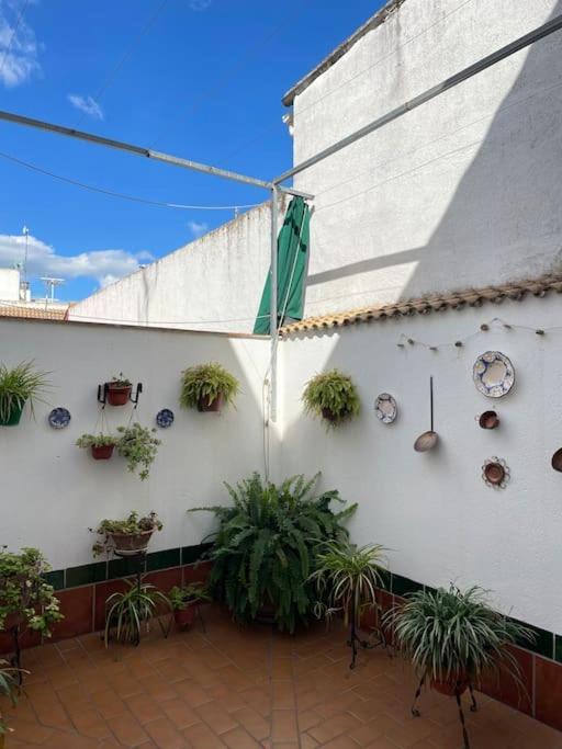 Apartamento El Convento Almodovar del Rio Bagian luar foto